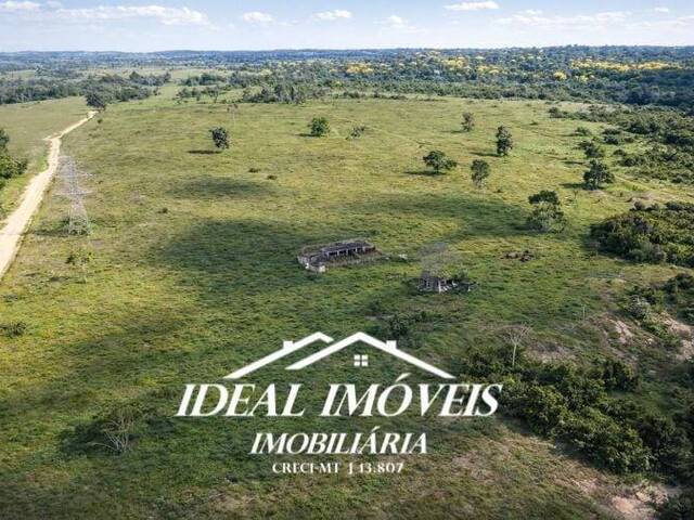 #291 - Fazenda para Venda em Castanheira - MT - 1